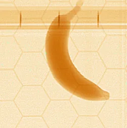 צילום הסורק של בננה: צורה כתומה